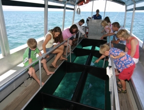 Enjoy the sea life from the Glass Bottom Boat on the Green Island Eco Tour